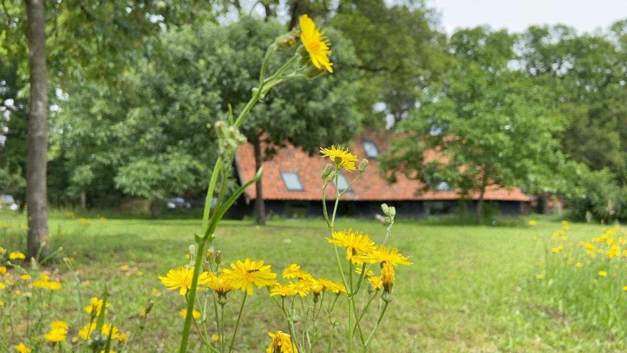 Op 'T Oorbeck Bed & Breakfast Enschede Dış mekan fotoğraf